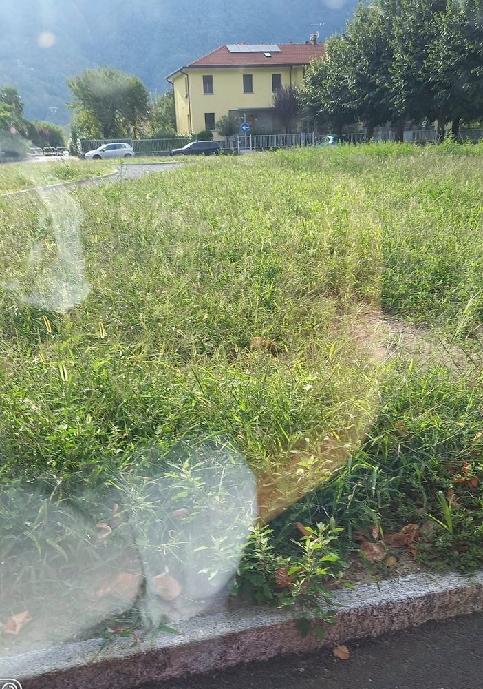 ''Un po' più di cura per piazza Lecomte''