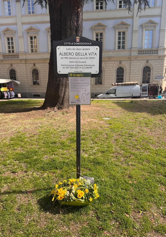 Omaggio alle donne in piazza Municipio