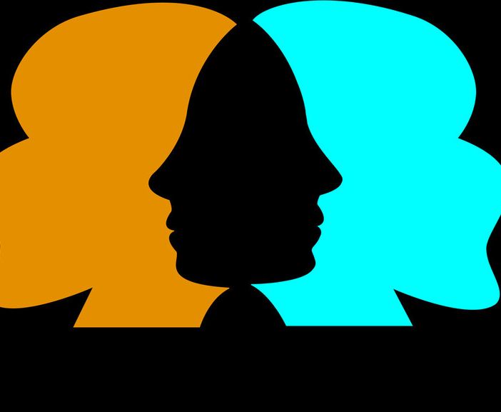 Consulta femminile, approvate modifiche al regolamento