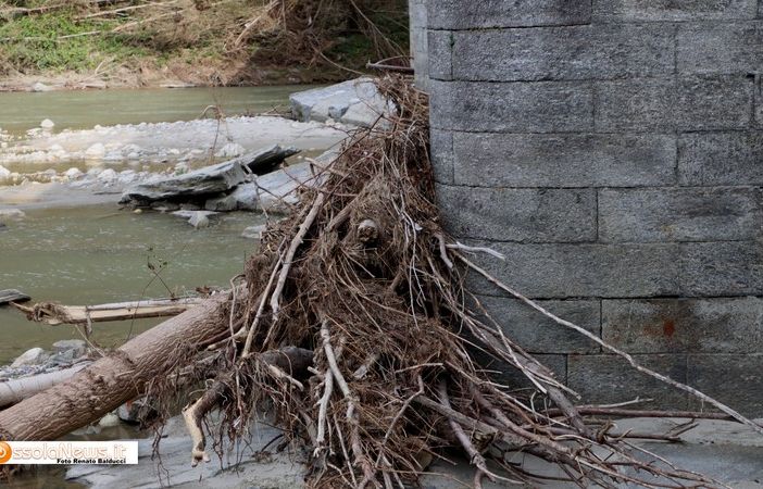 ''Tronchi contro il ponte: il Toce va pulito''  FOTO