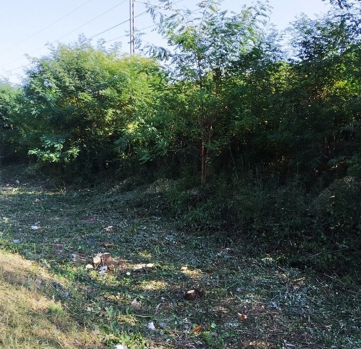 Pulizia lungo la massicciata dalla ferrovia