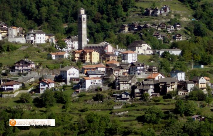 Capriolo sbranato in paese a Montescheno
