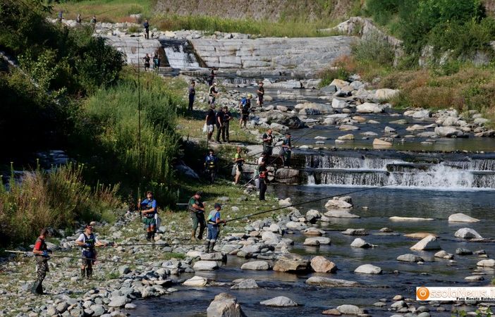Anche in Canton Ticino gli uccelli ittiofagi razziano i corsi d'acqua