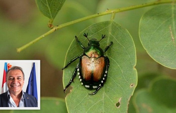 Popilia Japonica, Bongioanni: &quot;Bando da 2 milioni di euro per salvare con reti e protezioni la produzione florovivaicola&quot;