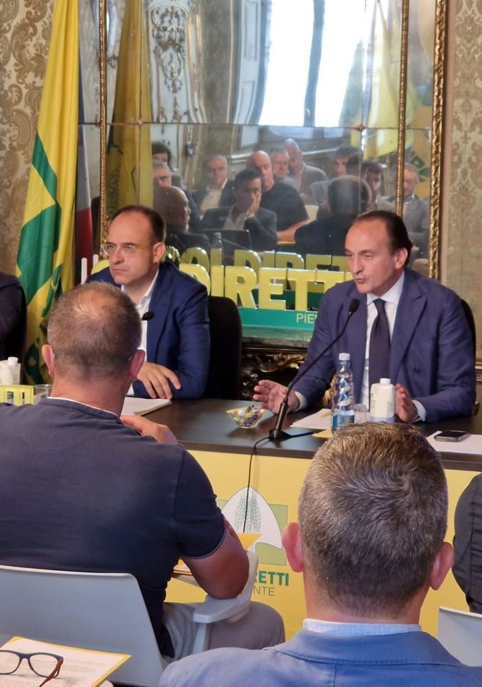 Coldiretti Novara-Vco: meno cinghiali più agricoltura
