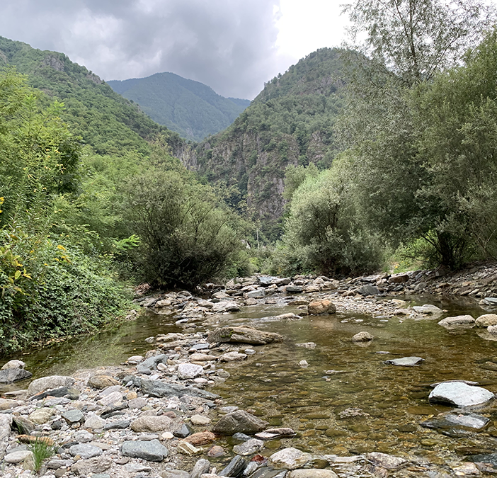 Siccità, le proposte di Regione Piemonte e della Commissione Ambiente Energia e Sostenibilità