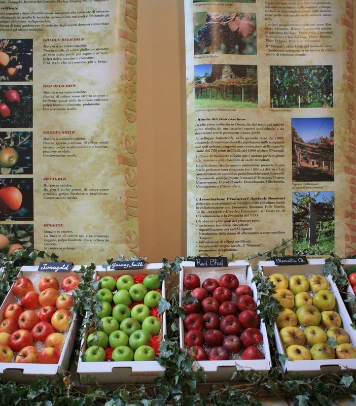 La Sagra MeleMiele compie 31 anni