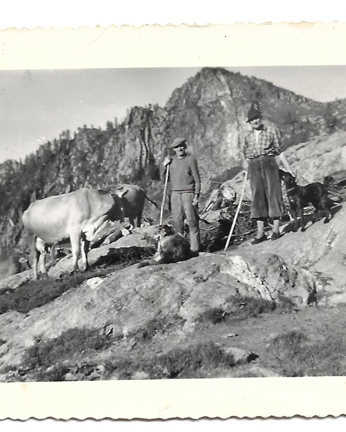 Alpeggi delle Alpi: alpi e alpigiani in Val d’Ossola