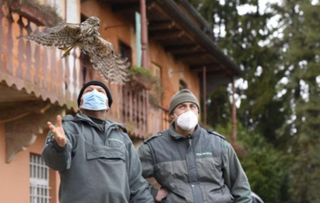 Centro Recuperi Animali Selvatici: salvati nel 2020 oltre 180 esemplari