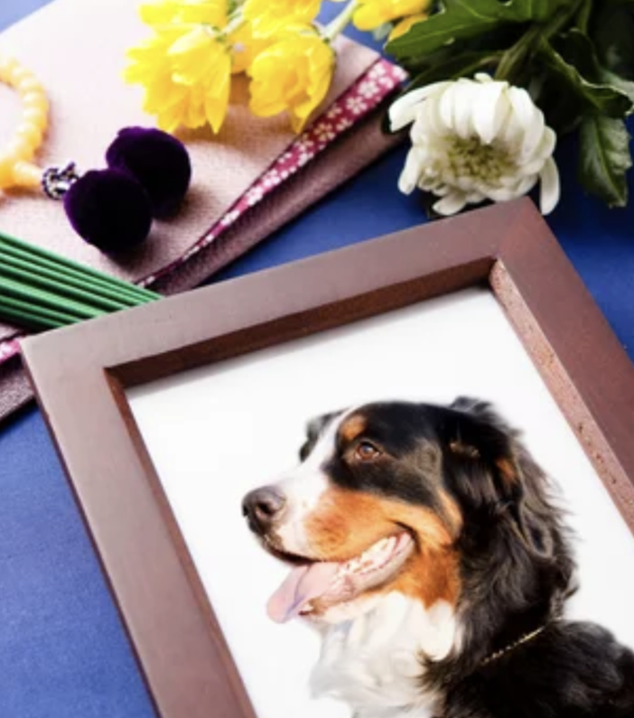 Onoranze funebri Torino: la cremazione degli animali domestici