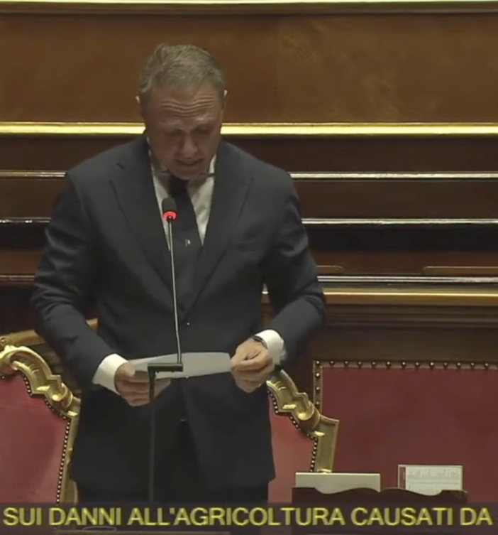 Contenimento dei lupi, il sindaco di Malesco: “Finalmente qualcosa sembra muoversi”