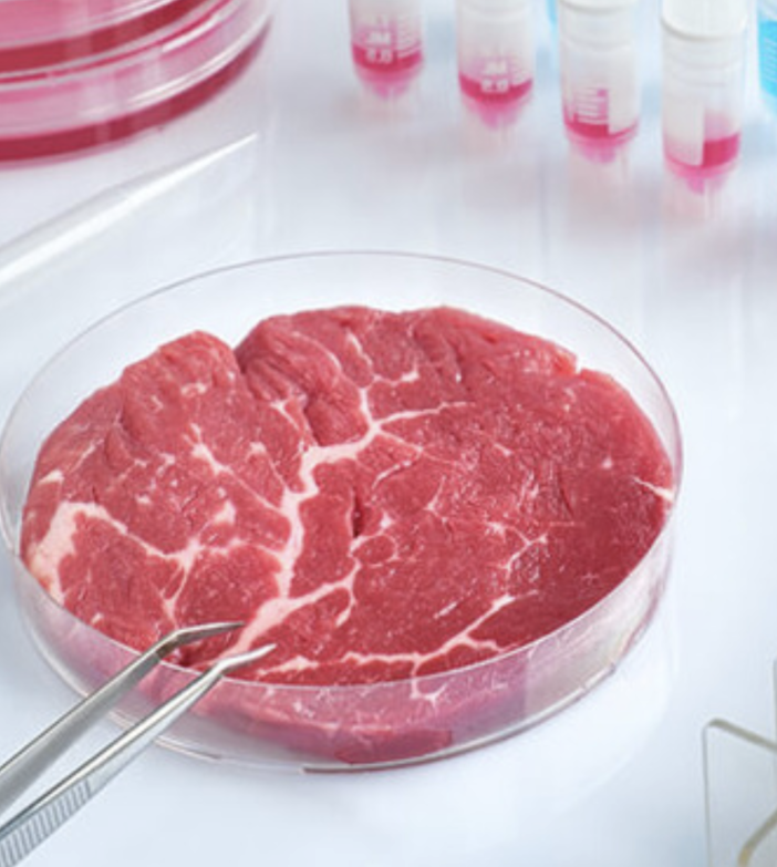 Carne sintetica sì o no?