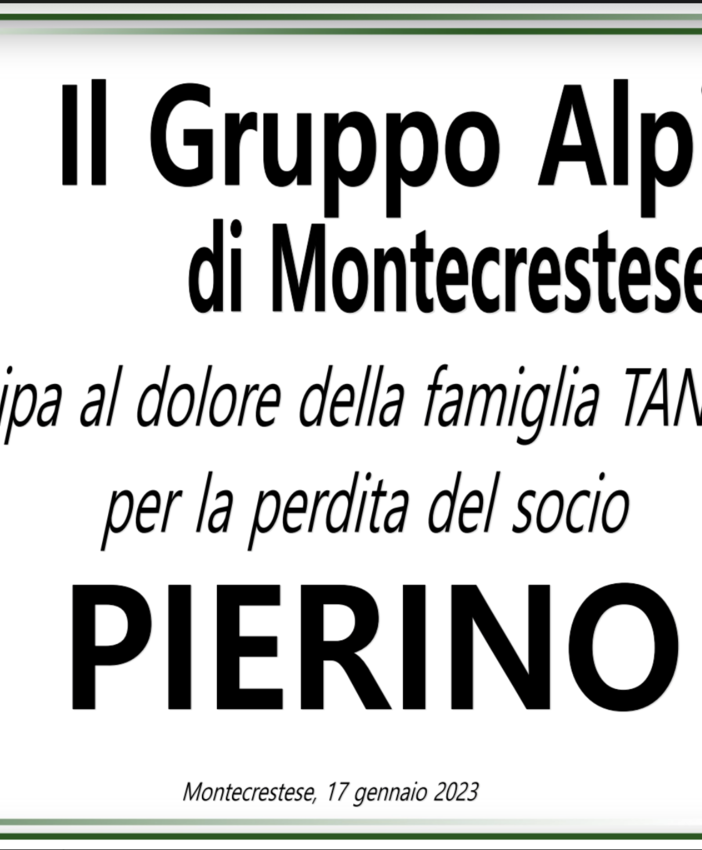 Partecipazione