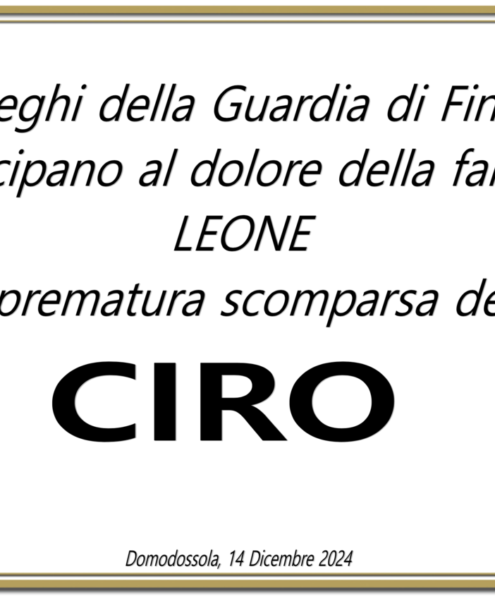 Partecipazione