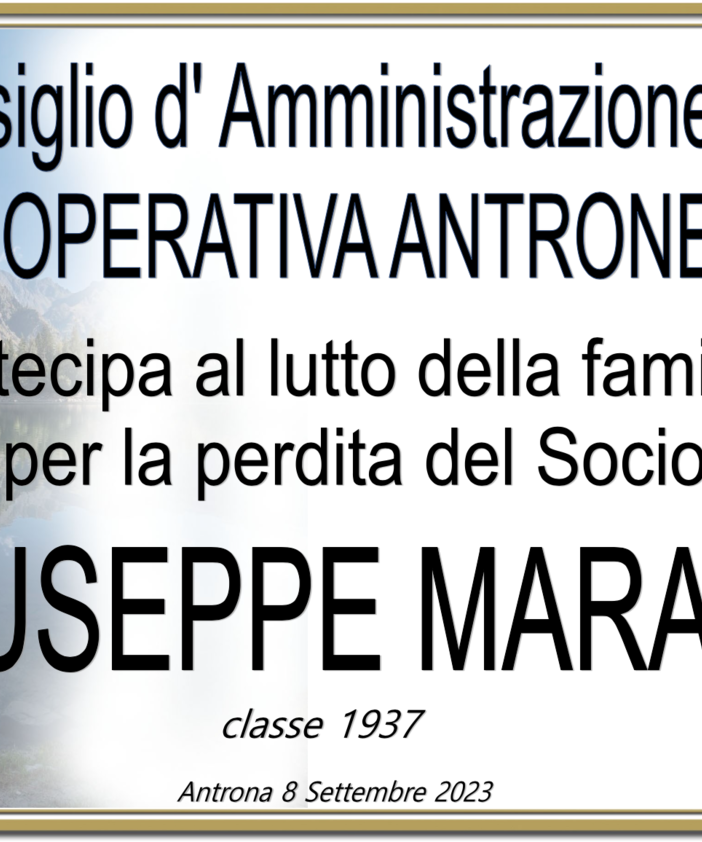 Partecipazione