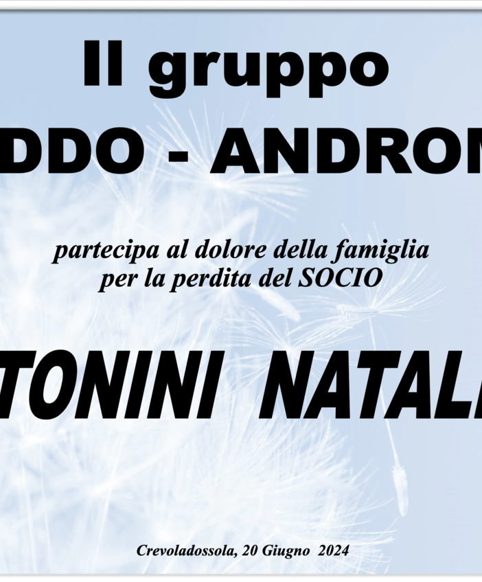 Partecipazione