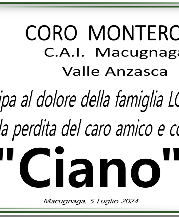 Partecipazione