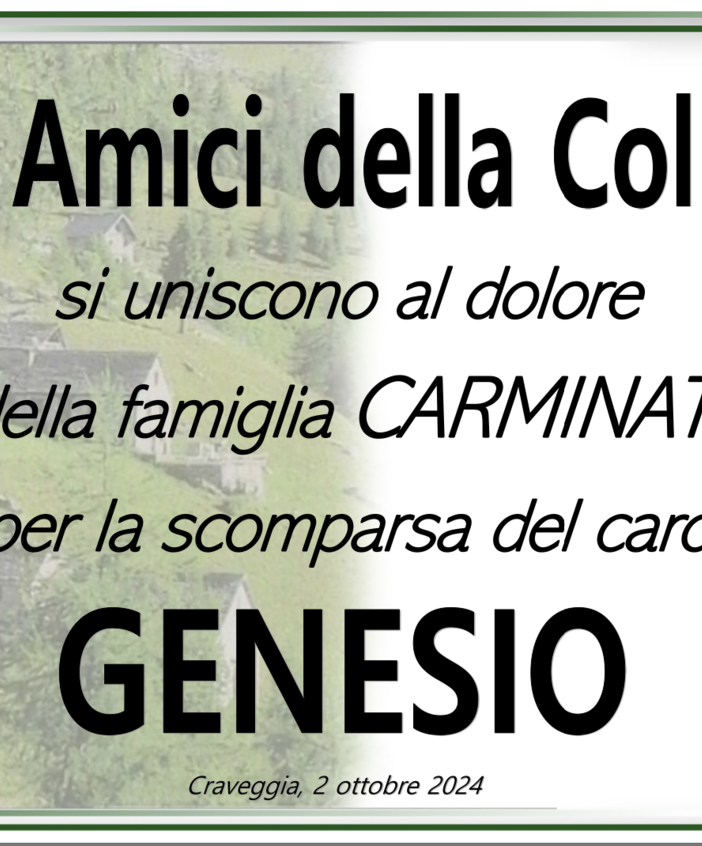 Partecipazione