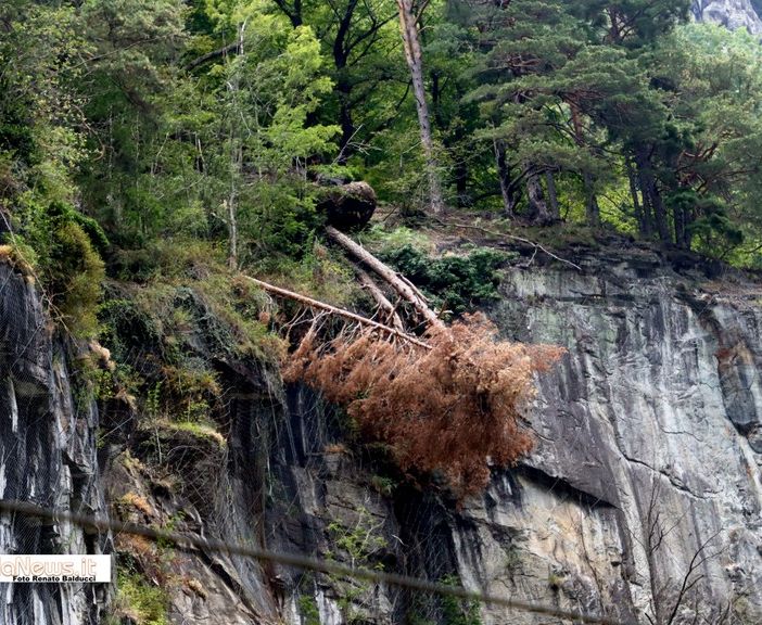 ''Le Ferrovie dovrebbero avere più attenzione per la stazione di Iselle''   FOTO
