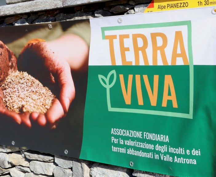 L'associazione Terra Viva punta a produrre succo di mele