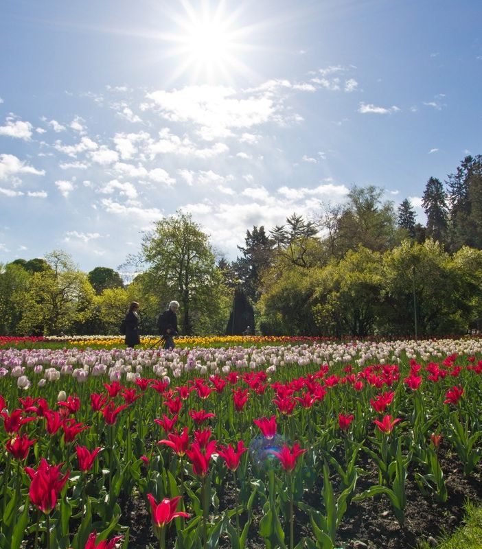 Avventure all’aria aperta ed eventi fioriti: la primavera del Distretto Turistico dei laghi