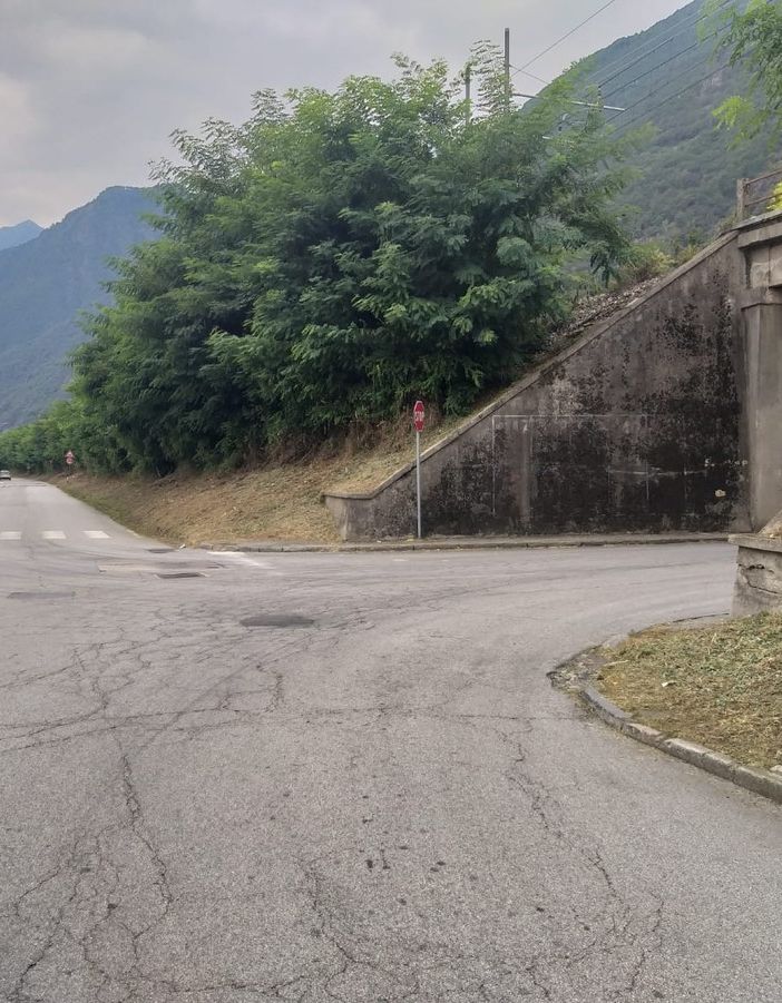 Ripulita la massicciata della ferrovia in via Toce