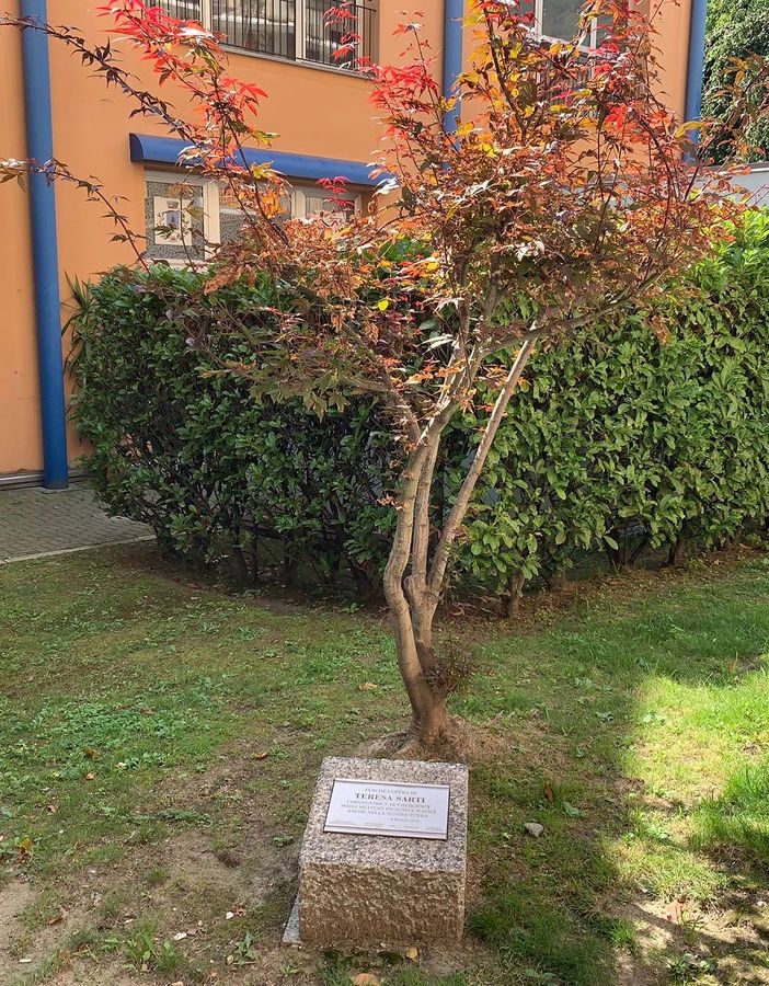 Quando Gino Strada doveva diventare cittadino onorario di Villadossola