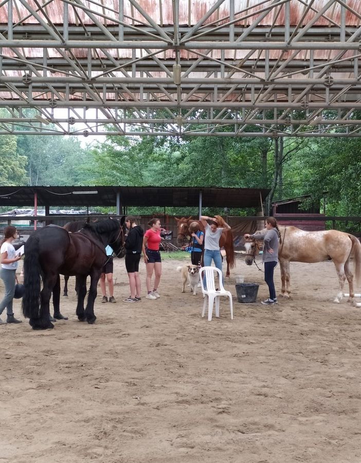 Alla Prateria il campo estivo per giovani disabili