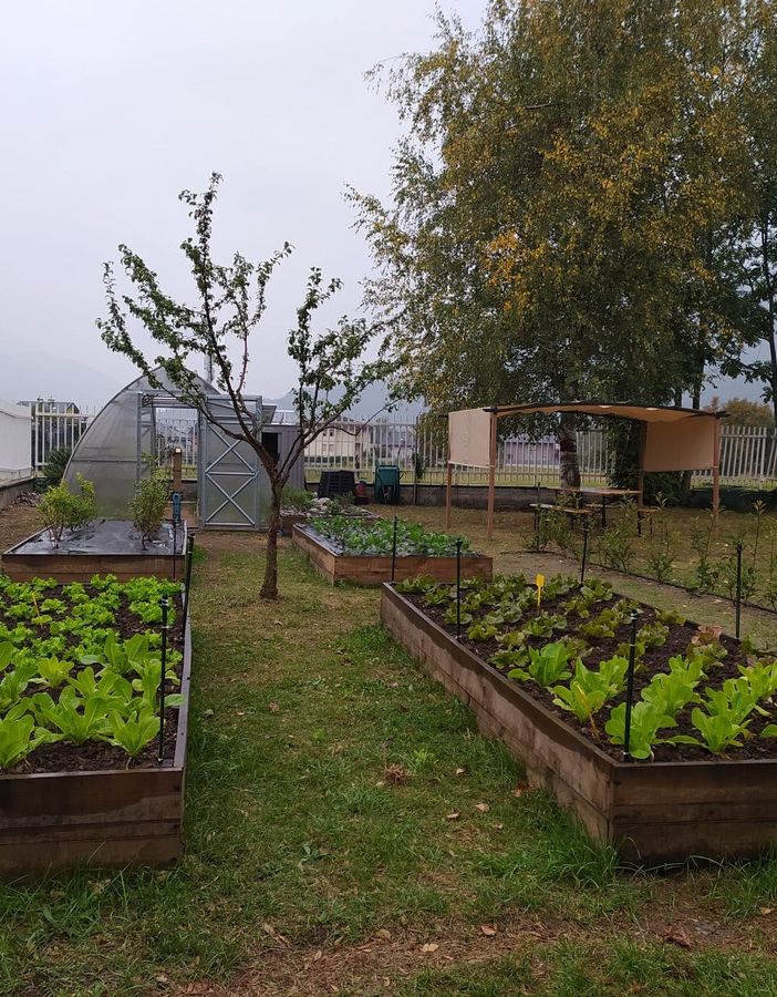 Agricoltura 4.0 alle scuole Casetti con il nuovo orto didattico