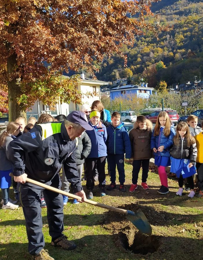 Giornata dell'albero, cerimonia alle elementari di Beura per sensibilizzare le nuove generazioni  FOTO e VIDEO