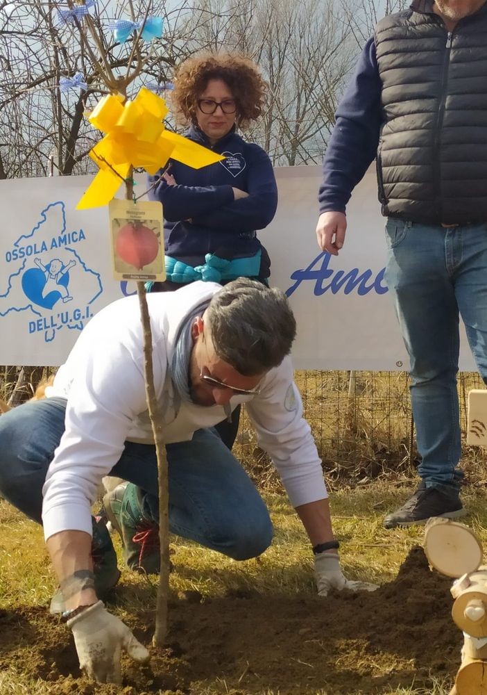 L'Ossola Amica dell'Ugi ha piantato un melograno per sostenere la lotta contro il cancro infantile VIDEO E FOTO
