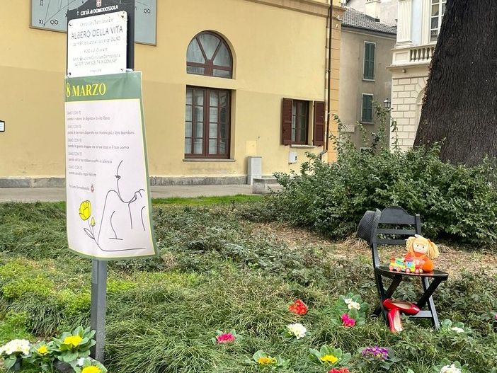 Primule sotto l'Albero della Vita, iniziativa della Pro Loco per l'8 Marzo