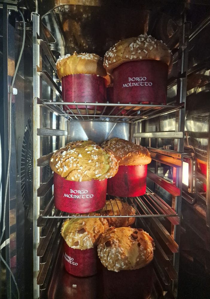 Per Natale regala un panettone o un pandoro artigianale di Borgo Molinetto