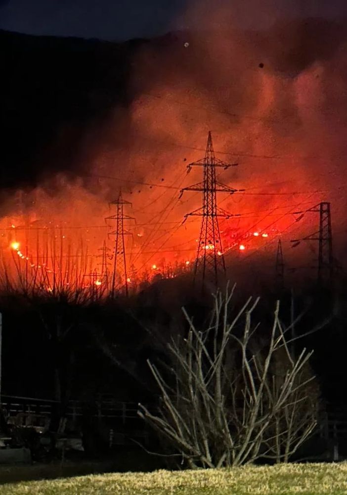 Montecrestese, l'incendio è stato domato. Il sindaco: &quot;Grazie a tutti&quot;