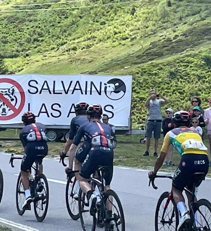 Grandi predatori, protesta degli allevatori vallesani al Tour de Suisse