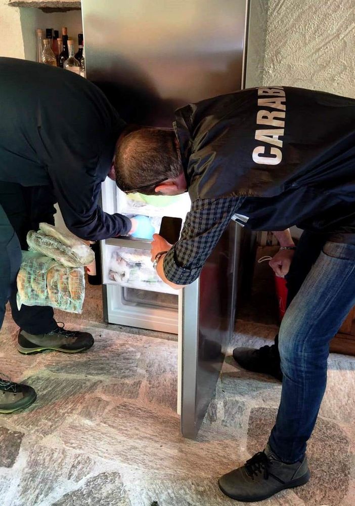 Operazione antibracconaggio in valle Anzasca, due persone denunciate