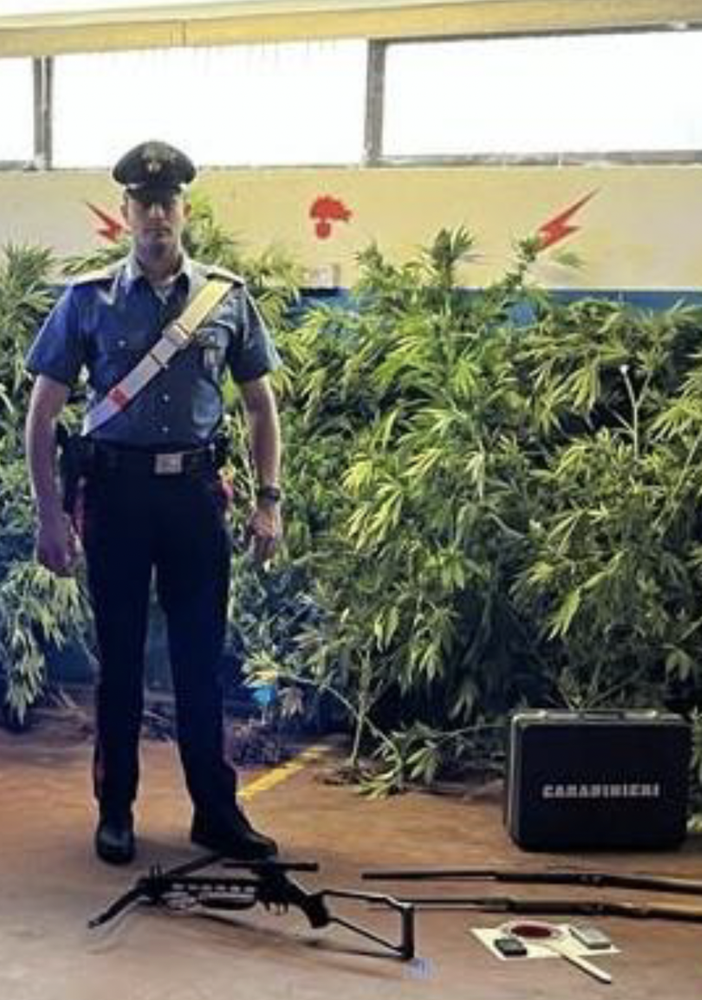 Coltivava cannabis nell'orto, denunciato dai Carabinieri