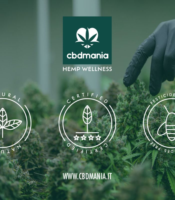 L’alta qualità dei prodotti al CBD: a cosa bisogna fare attenzione?