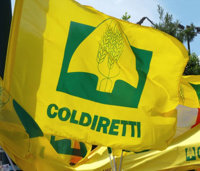 Prorogato il provvedimento sull'etichettatura d'origine, Coldiretti: &quot;Grande vittoria&quot;