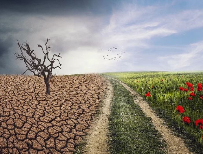 Cambiamento climatico, a fine aprile un bando della Regione da 12 milioni e mezzo di euro