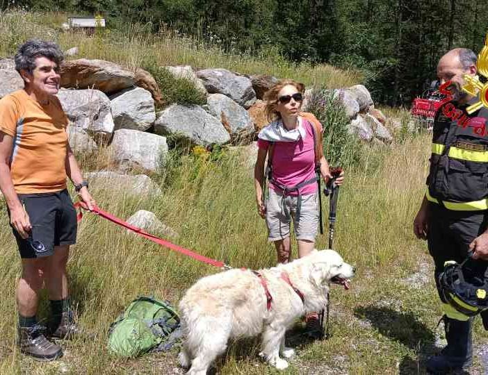 Sfugge ai padroni e precipita in un rio a Macugnaga, golden retriver recuperato dall'elicottero dei Vigili del fuoco
