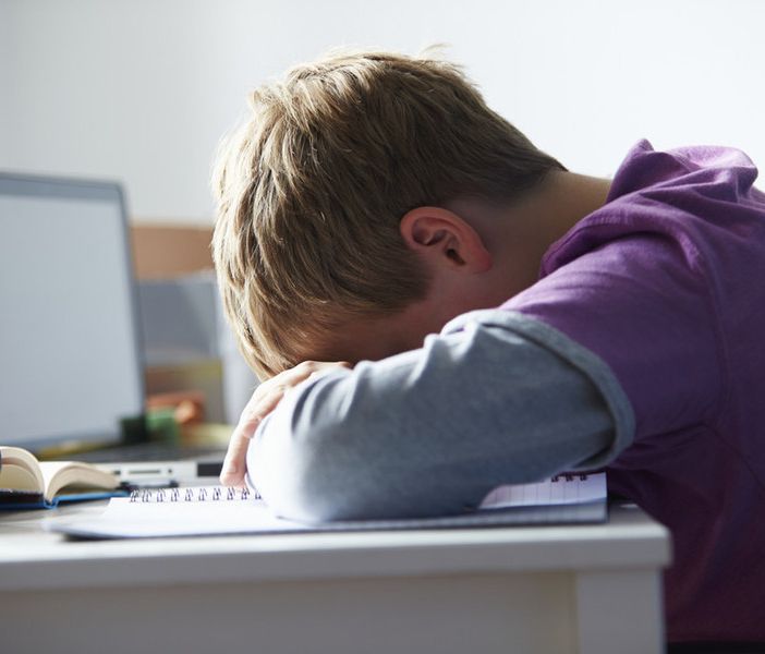 Il Corecom Piemonte in prima linea contro il cyberbullismo