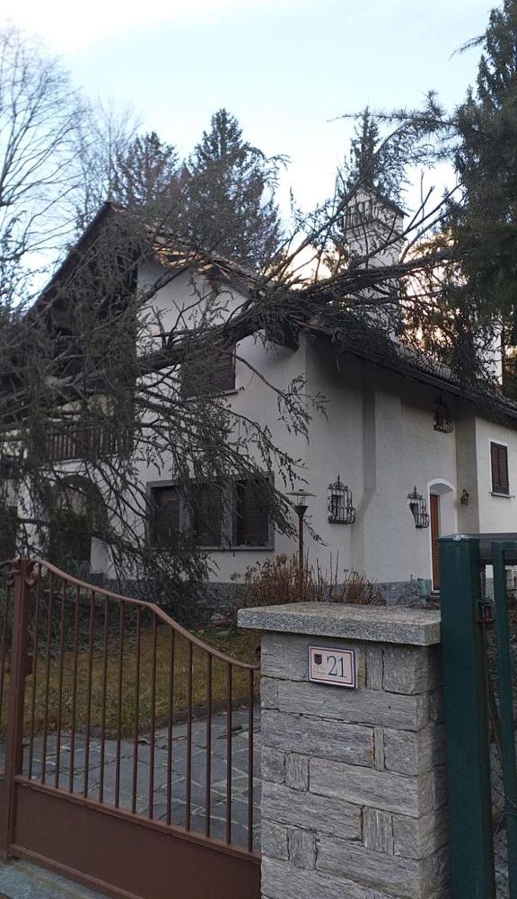 Forte vento, ingenti danni in Valle Vigezzo FOTO