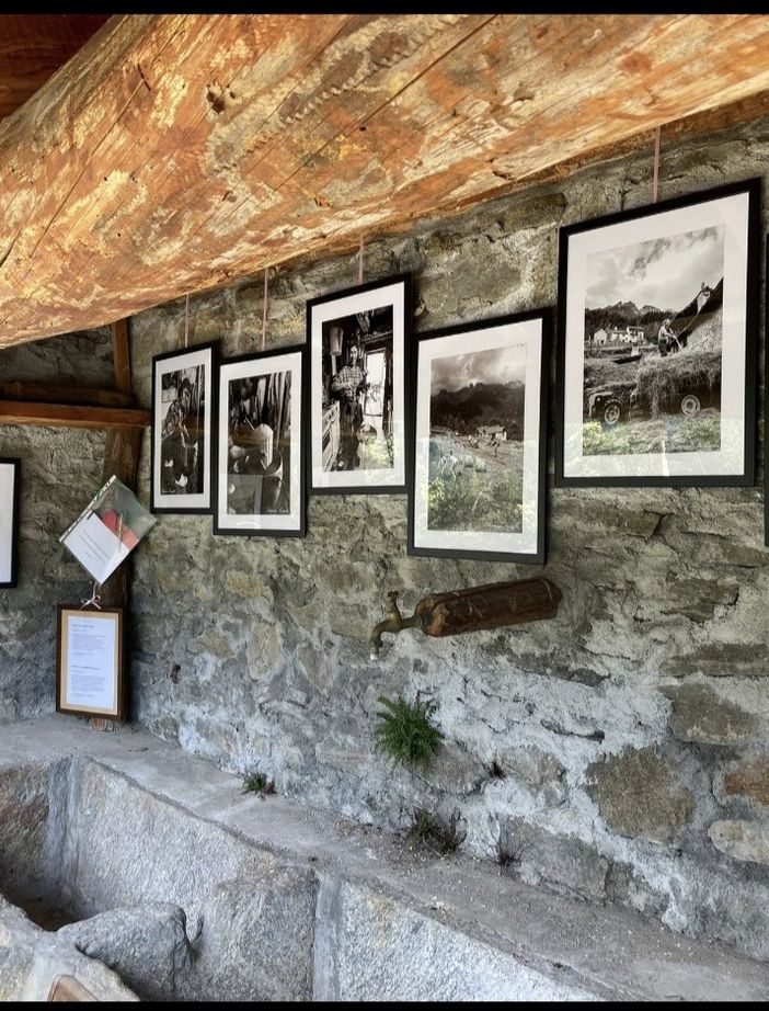 Foto di Patrizia Savaglio
