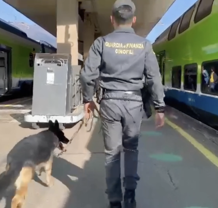 Trasportava ovuli di cocaina verso la Svizzera: arrestata dalla guardia di finanza