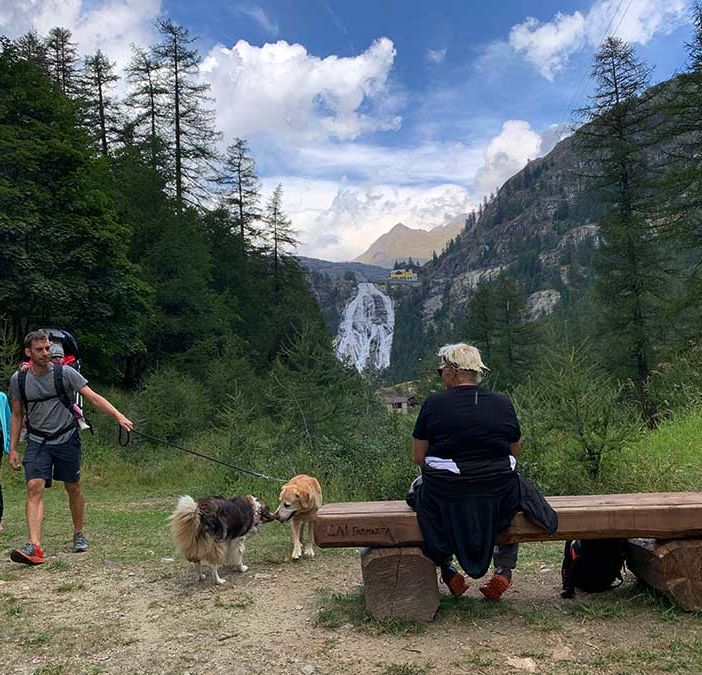 Incontro Regione-Guide Alpine: proficua collaborazione per la promozione la sicurezza e la tutela delle montagne del Piemonte