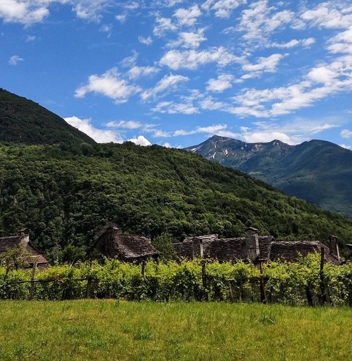 Via libera a passeggiate, escursioni e trekking!