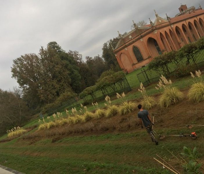 Regione, un percorso formativo per 100 giardinieri dei parchi storici del Piemonte
