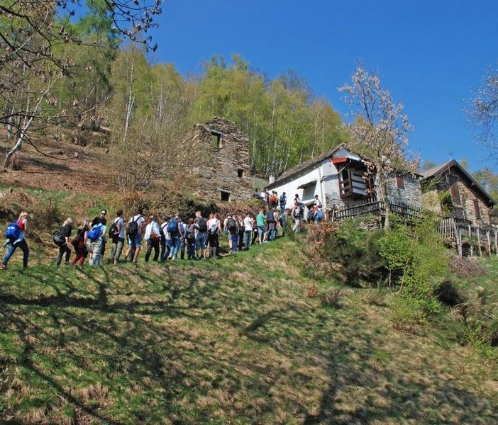Un'altra gita escursionistica tra i terrazzamenti del Parco Val grande