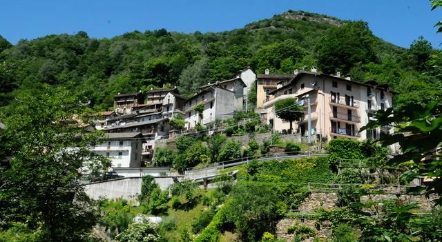 Le strade della Cannobina invase dalla vegetazione, Gurro corre ai ripari